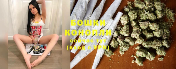 ECSTASY Ладушкин