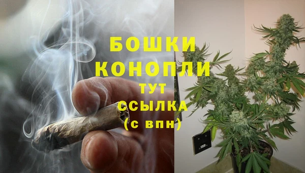 гидропоника Лагань