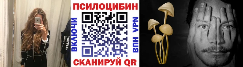 Псилоцибиновые грибы Magic Shrooms  Купить где  Давлеканово 
